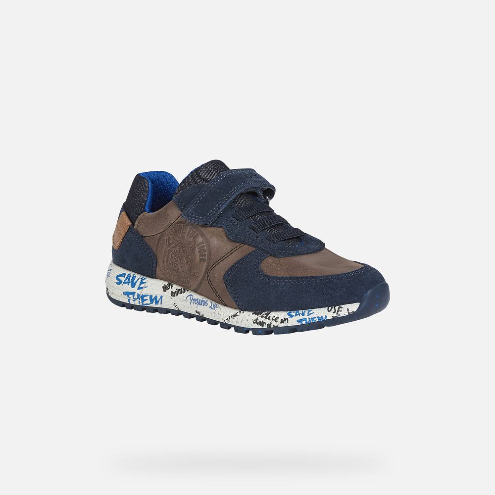 Geox Sneakers Dark Brown/Navy Alben - Geox Boys Shoes - MPXZLV671